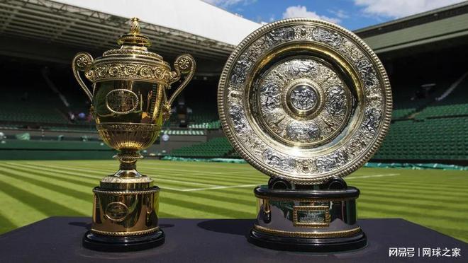 他不仅提升 他不仅提升