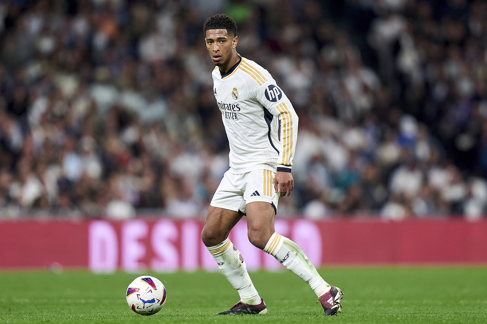 加便利的运 加便利的运